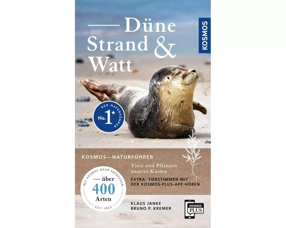 Düne, Strand und Watt