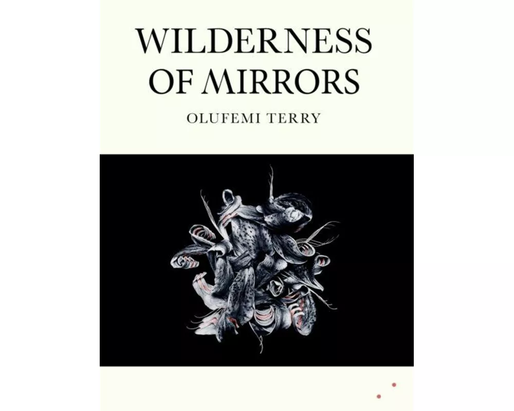 Wilderness of Mirrors