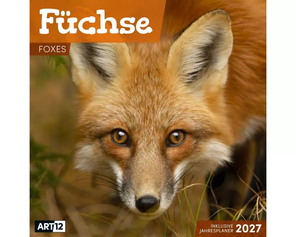 Füchse Kalender 2027 - 30x30 - Art12