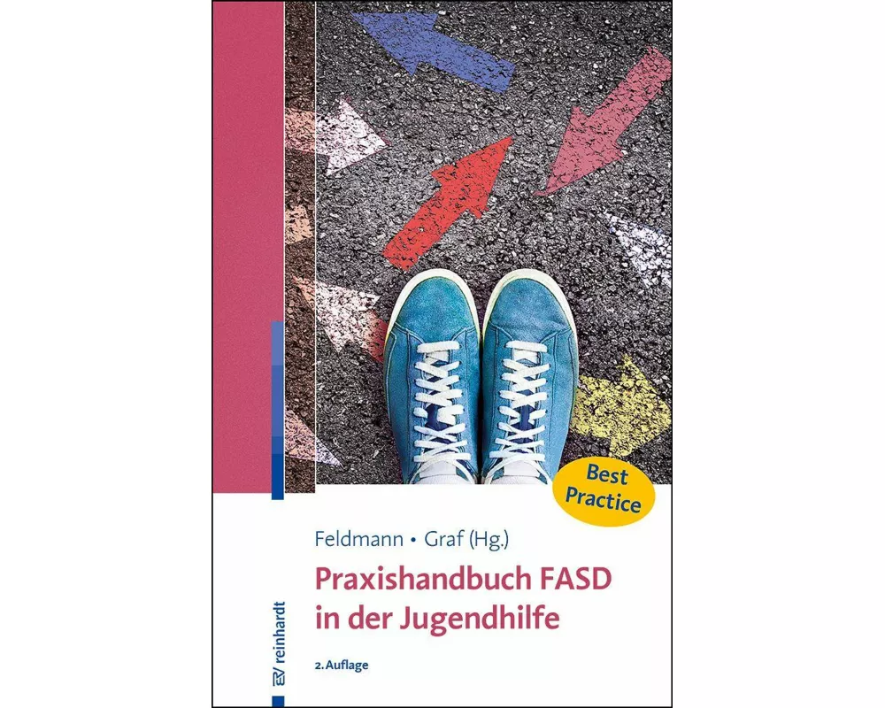 Praxishandbuch FASD in der Jugendhilfe