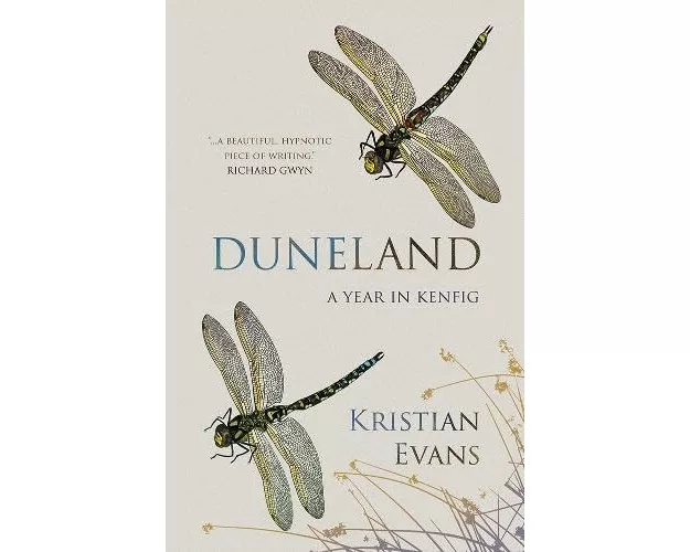 Duneland