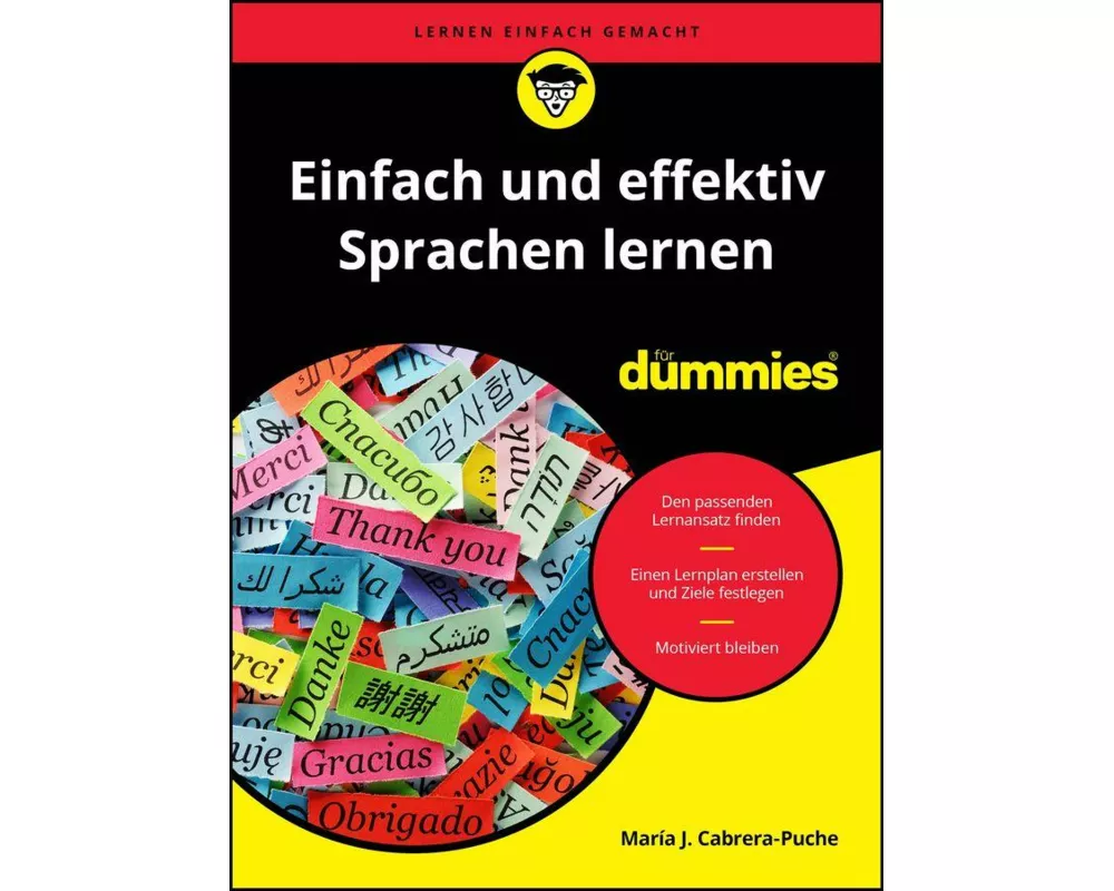 Einfach und effektiv Sprachen lernen für Dummies
