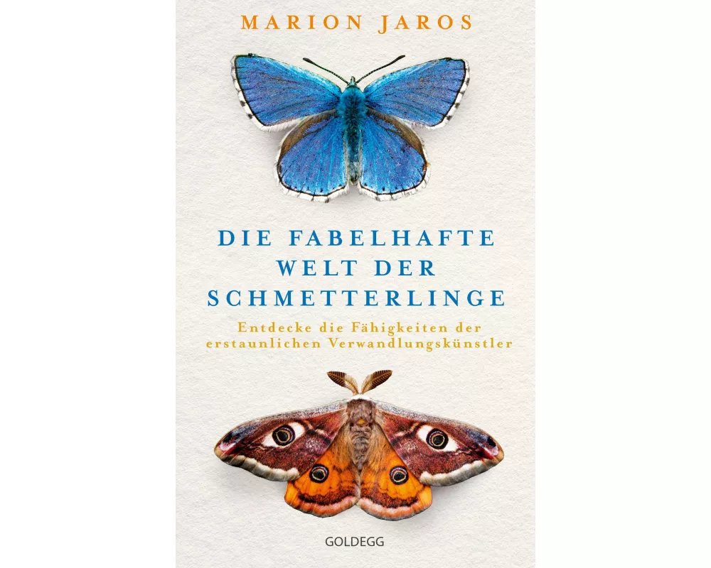 Die fabelhafte Welt der Schmetterlinge