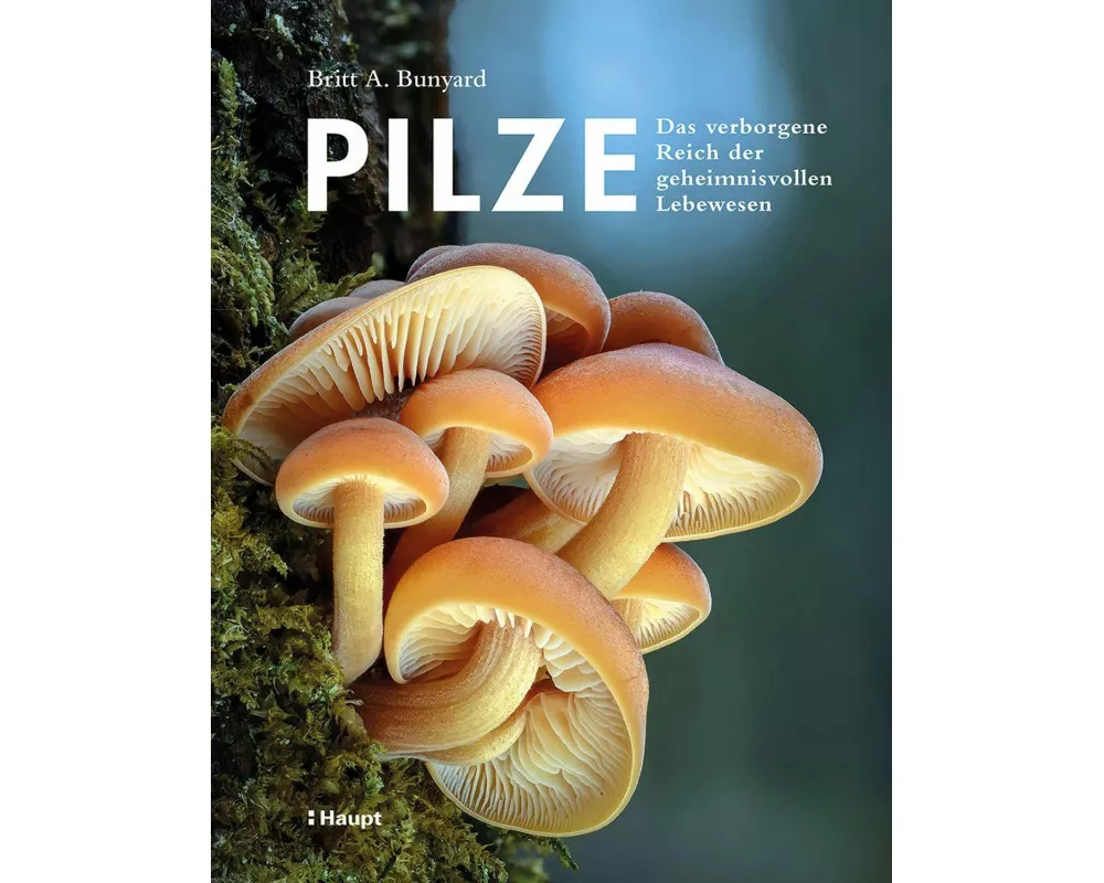 Pilze