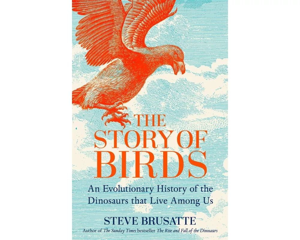 The Story of Birds