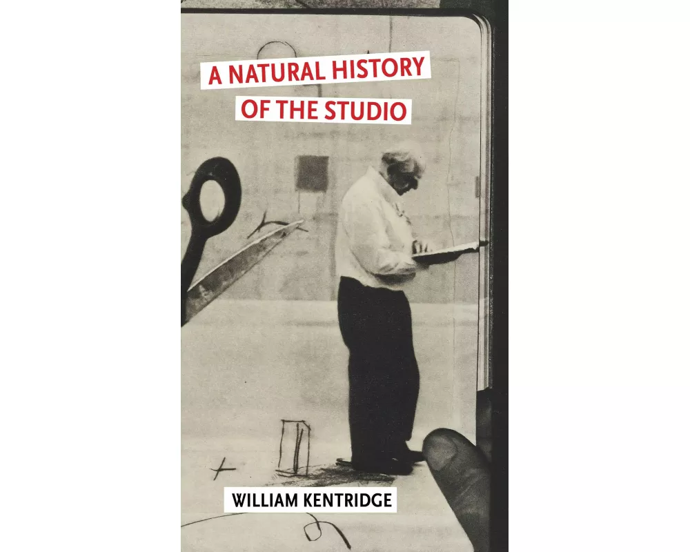 A Natural History of the Studio