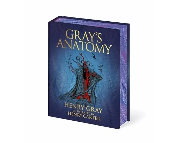 Gray's Anatomy