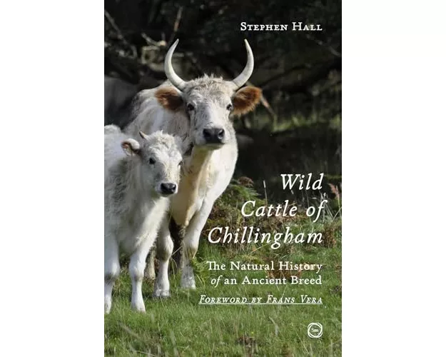 Wild Cattle of Chillingham