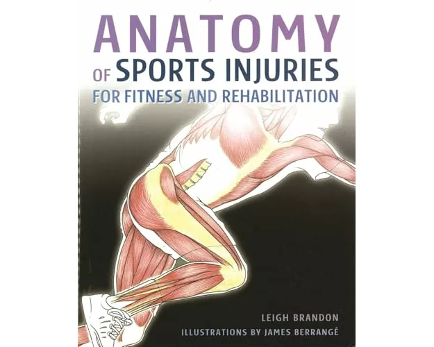 Anatomy of Sports Injuries