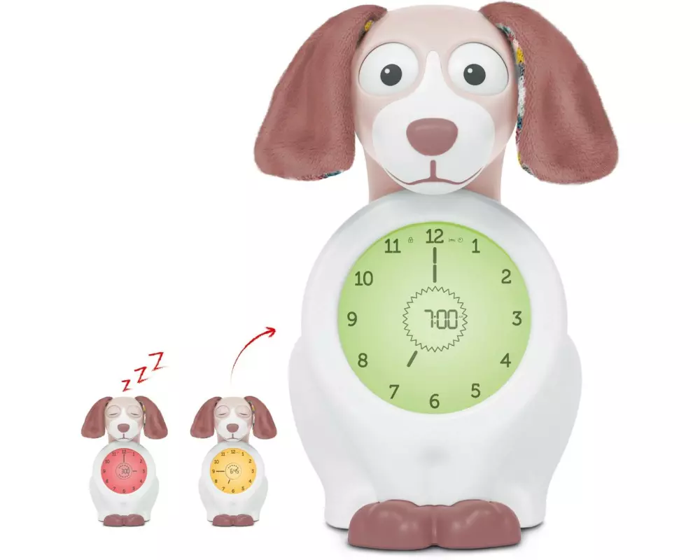 ZaZu Davy Hund, Nachtlicht