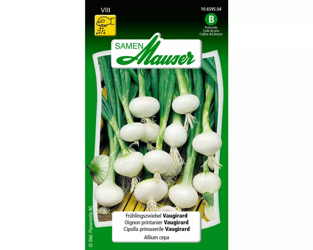 Samen Mauser Samen Frühlingszwiebel Vaugirard