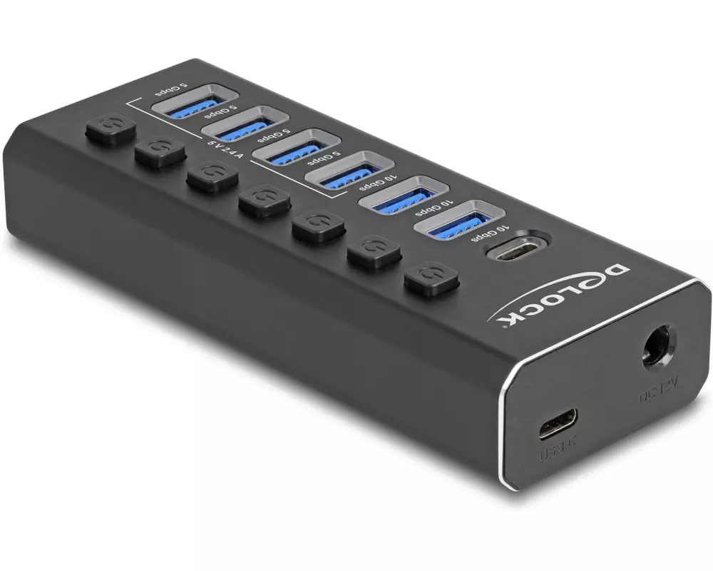 Delock USB Hub 10 Gbps