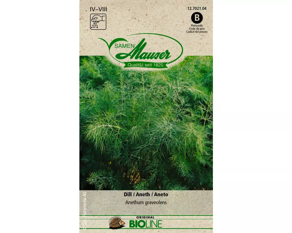 Samen Mauser Samen BIO Dill