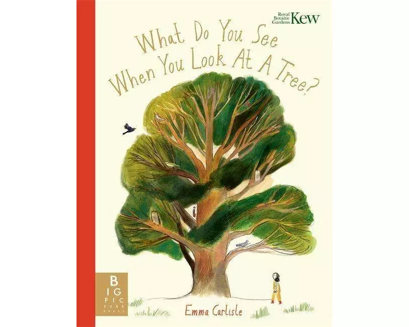 What Do You See When You Look At a Tree?