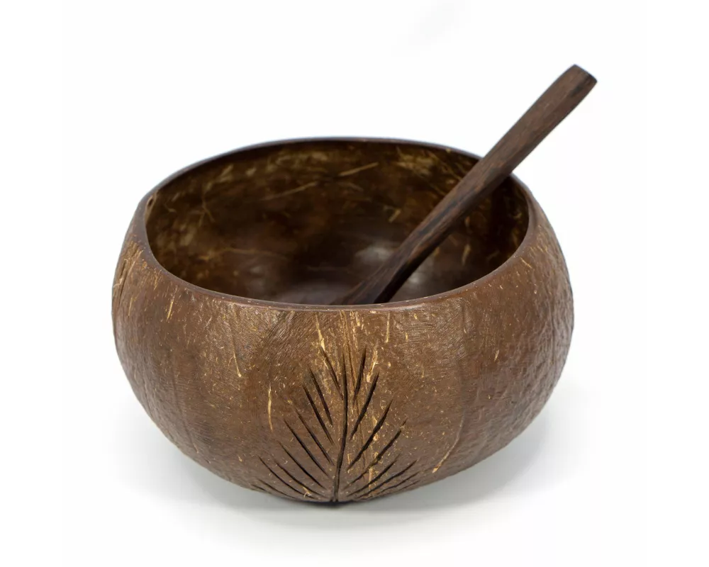 Kokosnuss-Set (Bowl + Löffel)