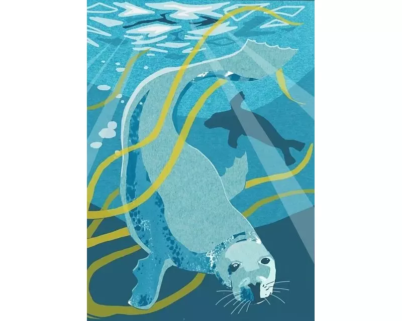 Nature Notebook: Seal