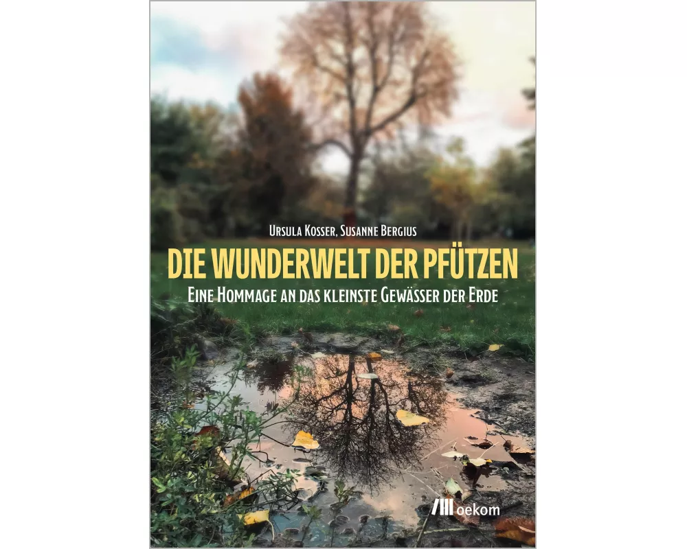 Die Wunderwelt der Pfützen
