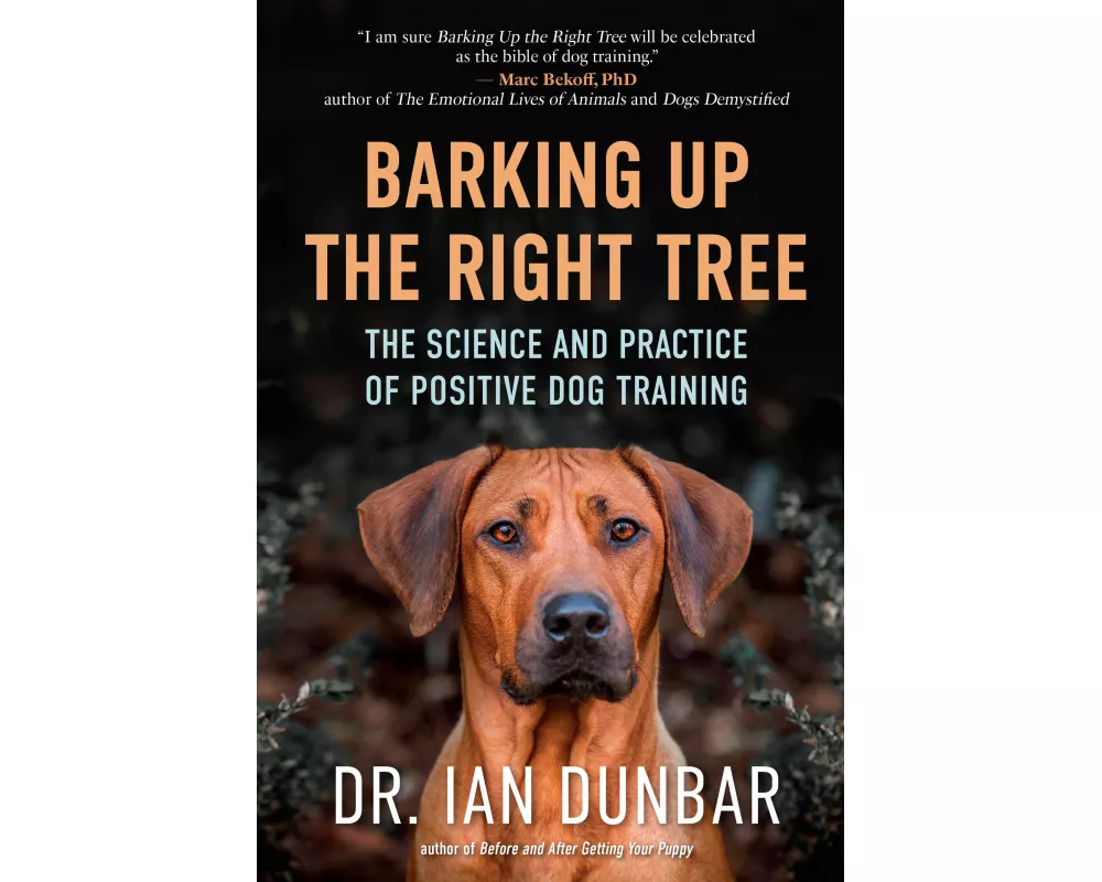 Barking Up the Right Tree