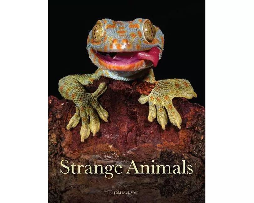 Strange Animals