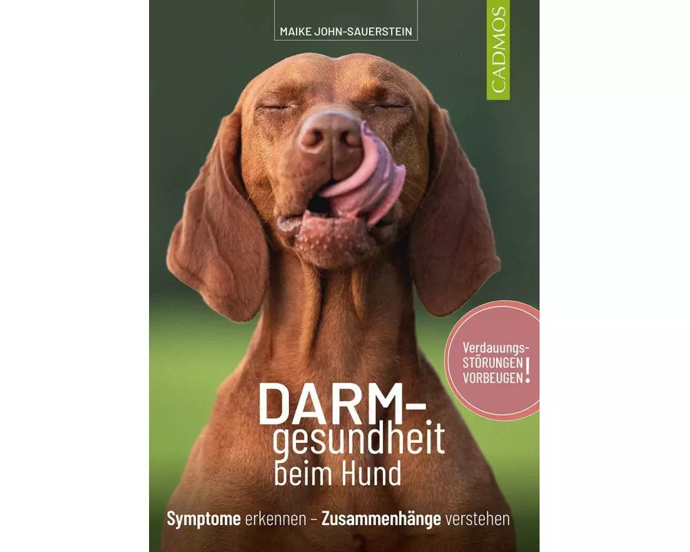 Darmgesundheit beim Hund