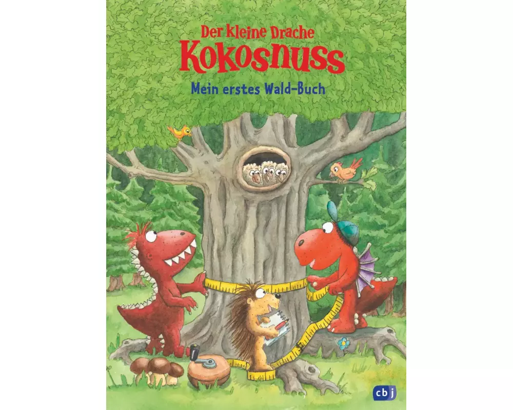 Der kleine Drache Kokosnuss - Mein erstes Wald-Buch