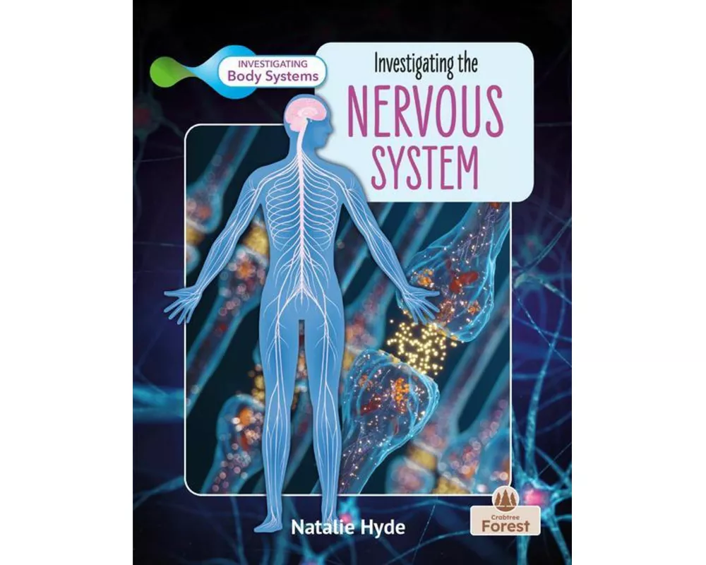 Investigating the Nervous System