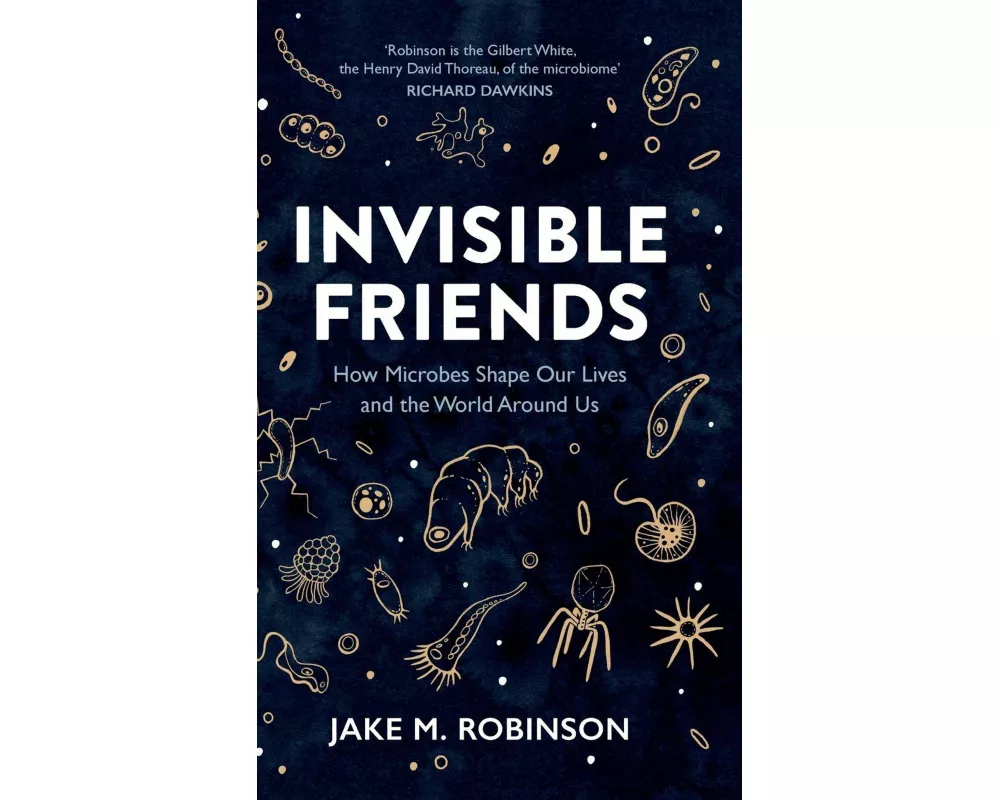 Invisible Friends