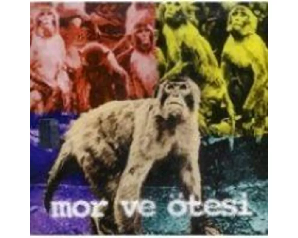 Birak Zaman Aksin CD