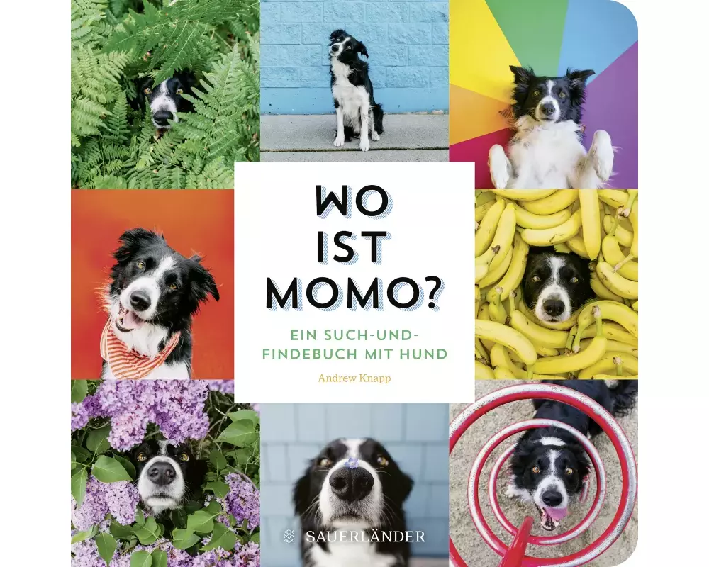 Wo ist Momo?