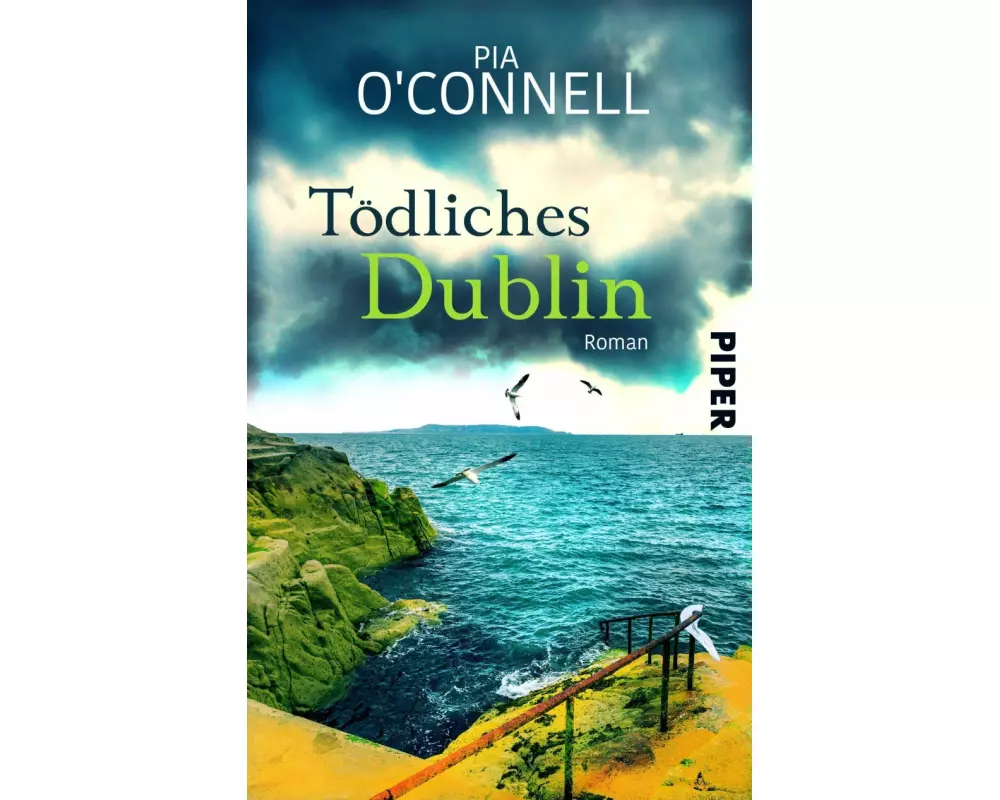 Tödliches Dublin