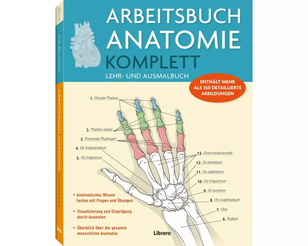 Arbeitsbuch Anatomie Komplett