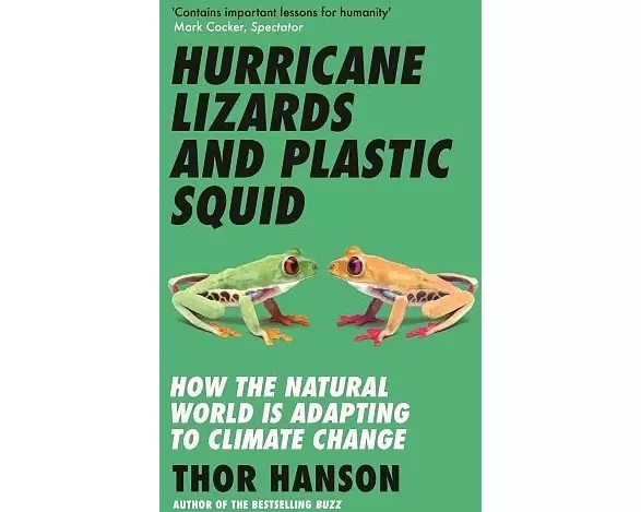 Hurricane Lizards and Plastic Squid