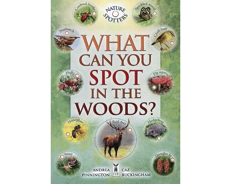 What Can You Spot in the Woods?