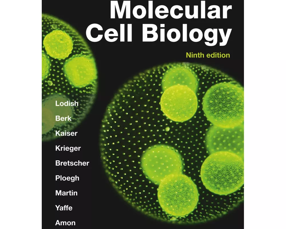 Molecular Cell Biology