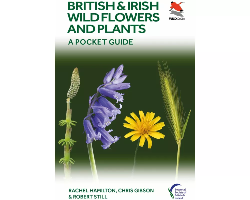 British and Irish Wild Flowers and Plants