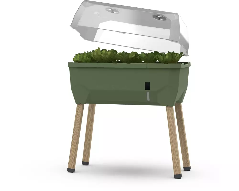 Gusta Garden Deckel zu SAMMY SALAD Transparent