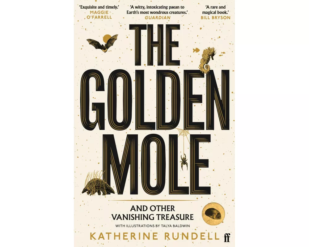 The Golden Mole