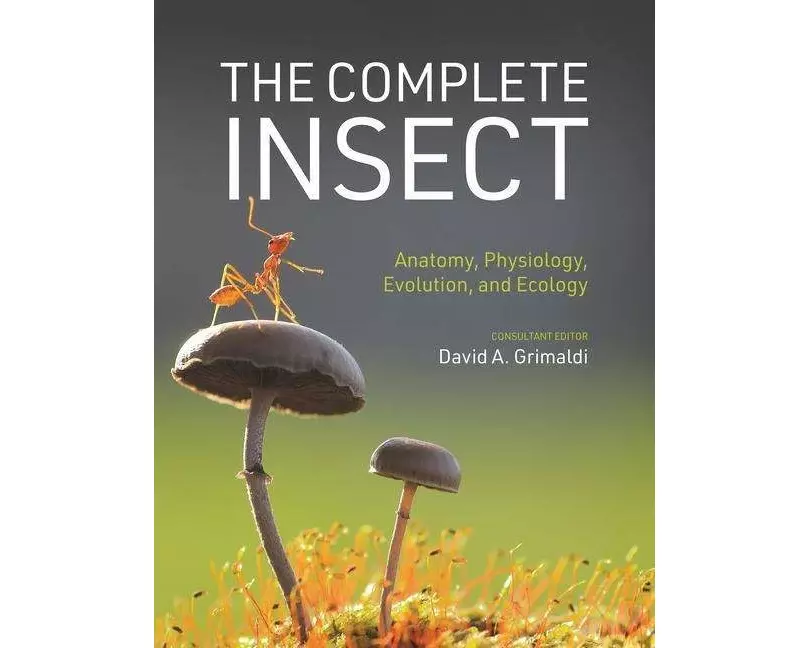The Complete Insect