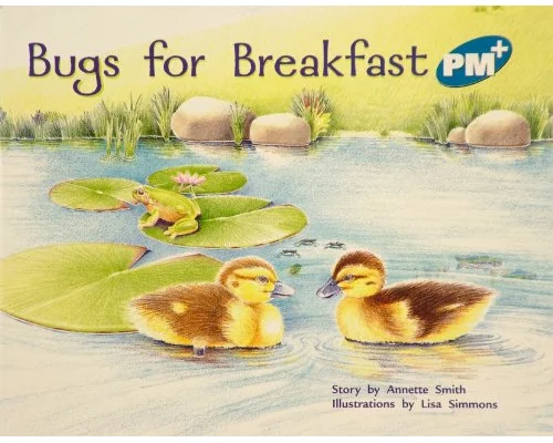 Bugs for Breakfast