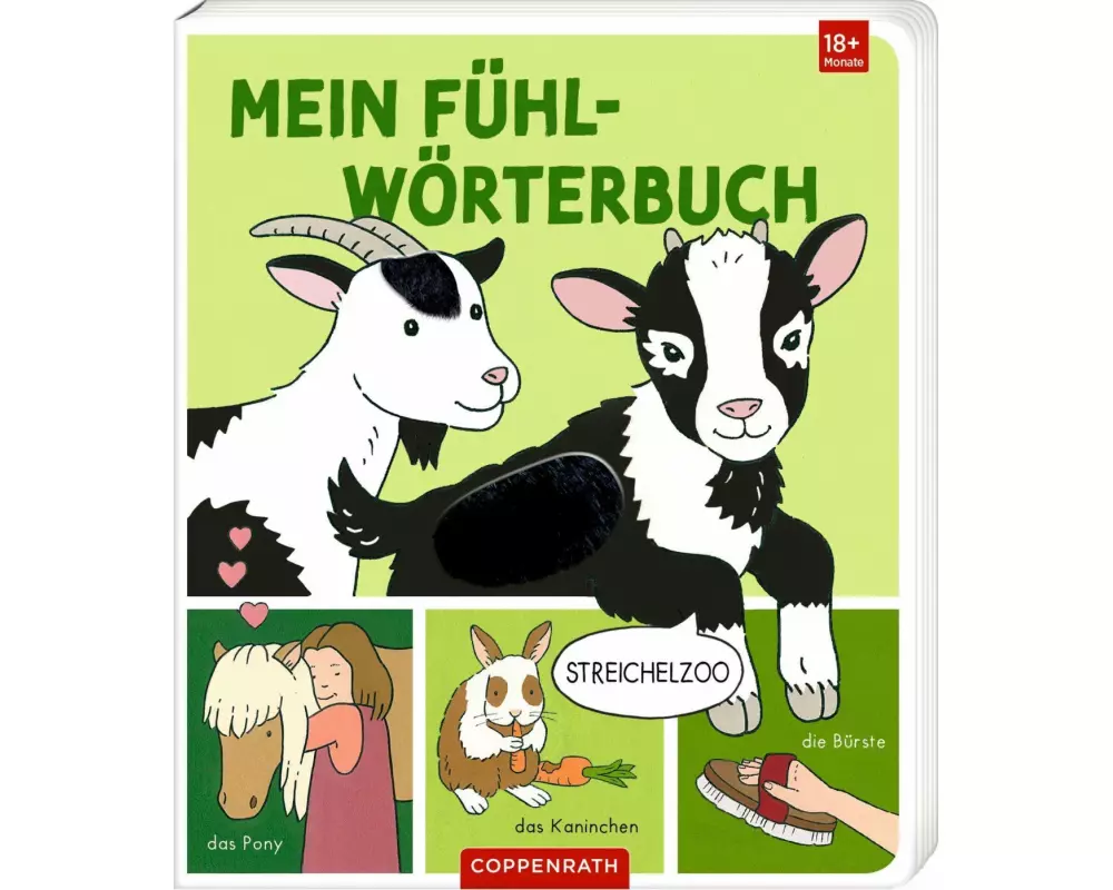 Mein Fühl-Wörterbuch