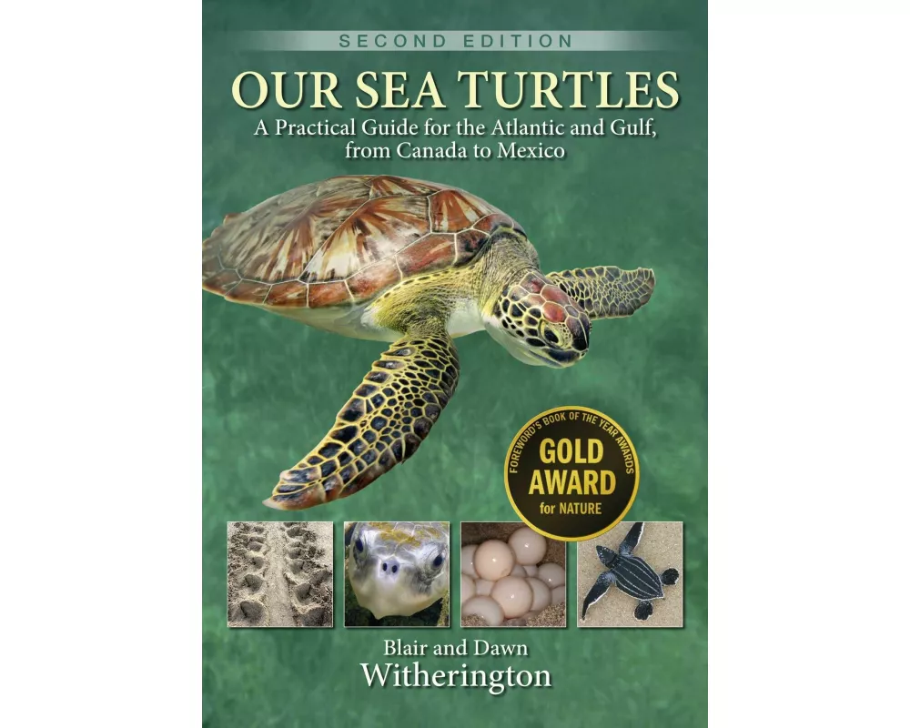 Our Sea Turtles