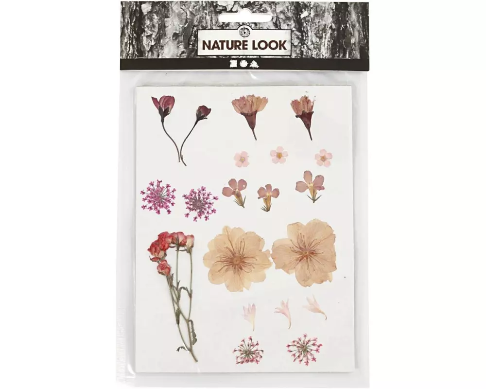 Creativ Company Trockenblumen Gepresste Blüten 20 farbig sortiert