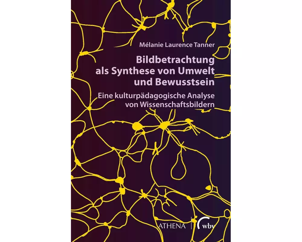 Bildbetrachtung als Synthese von Umwelt und Bewusstsein
