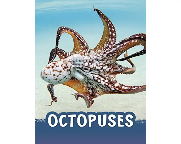 Octopuses