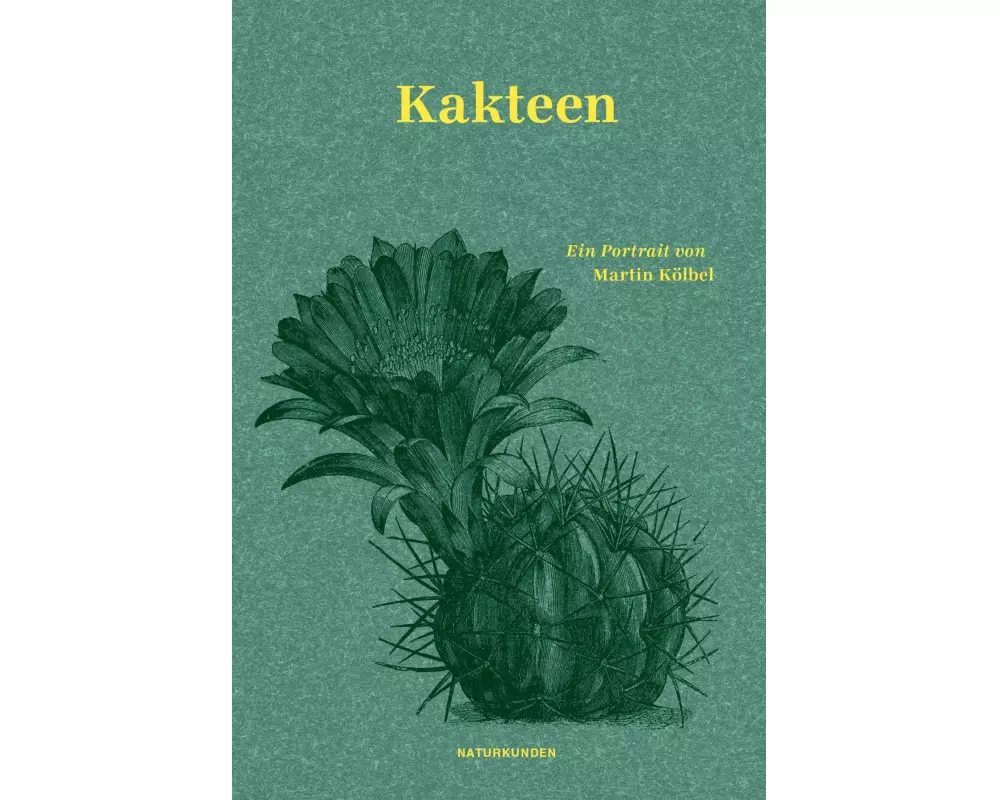 Kakteen