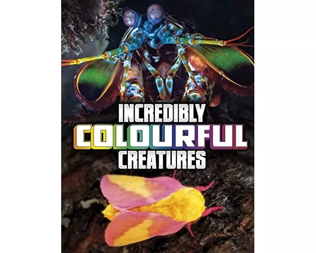 Incredibly Colourful Creatures