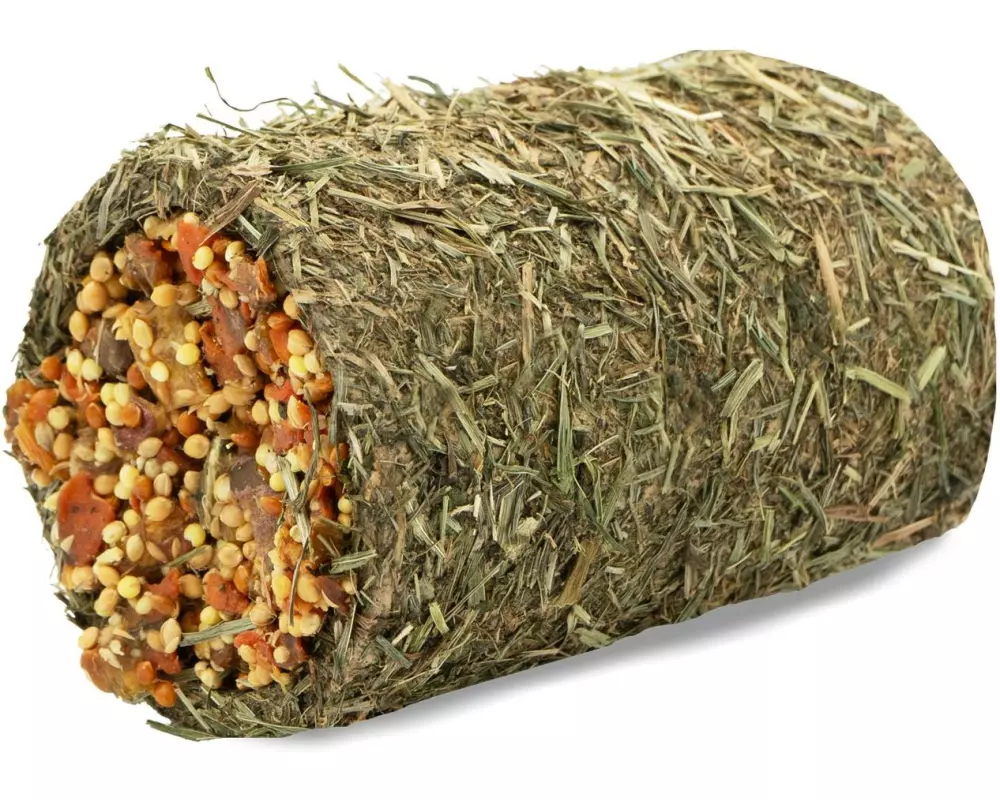 JR Farm Heu-Schlemmertunnel Karotte 125 g