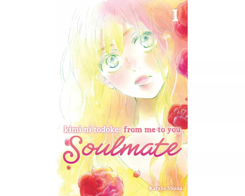 Kimi ni Todoke: From Me to You: Soulmate, Vol. 1