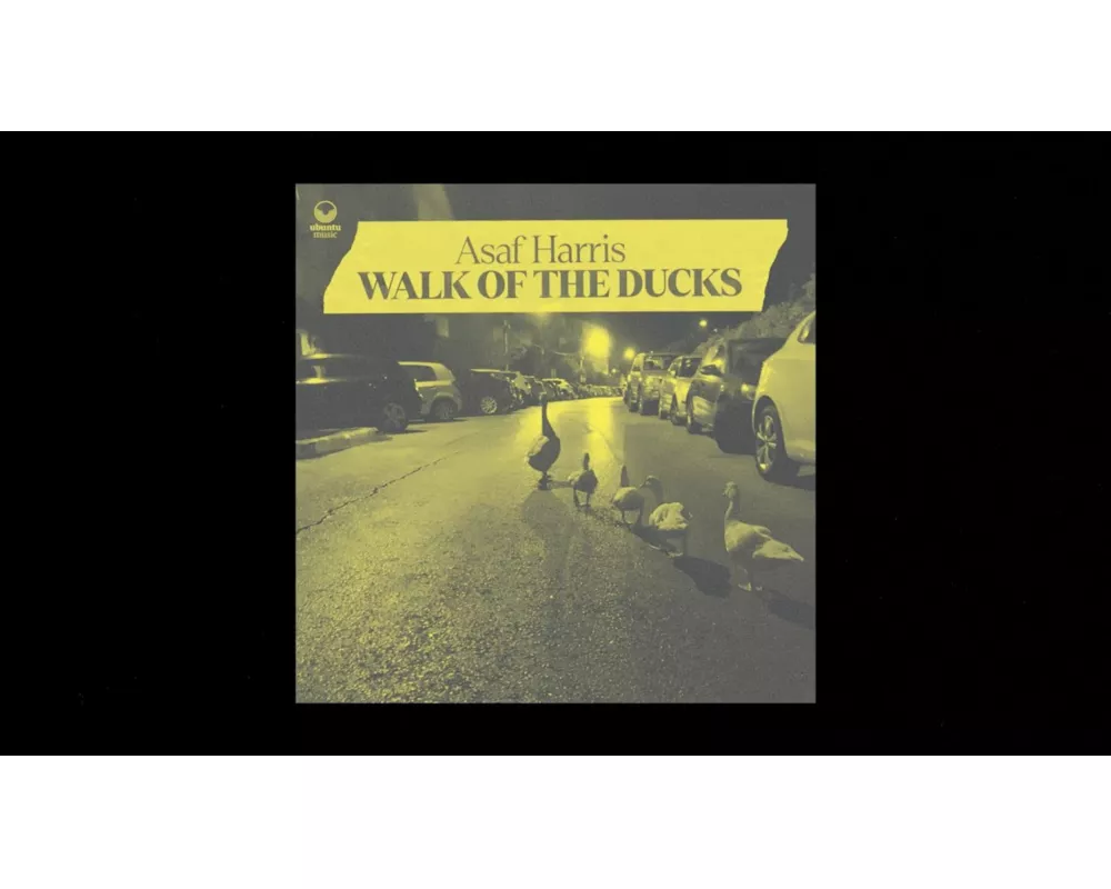 Walk Of The Ducks