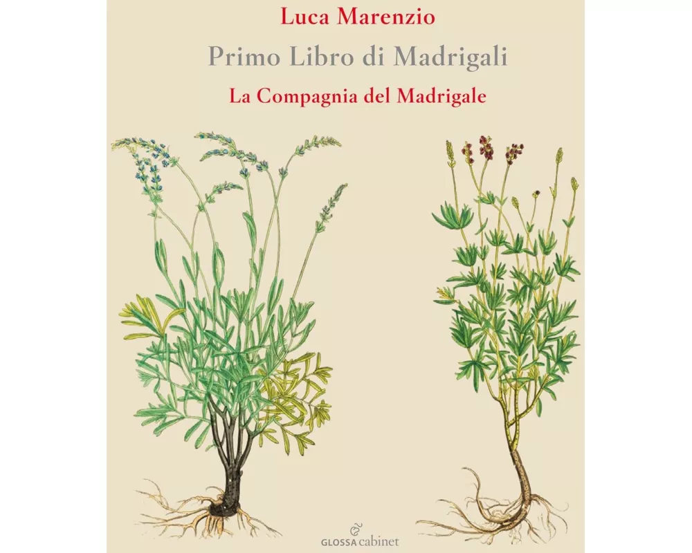 Primo Libro Di Madrigali